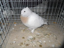 DSCN0821