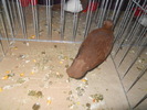 DSCN0822