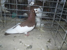 DSCN0967