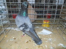 DSCN0969