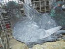 DSCN0972