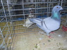 DSCN0975