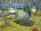 DSCN0976