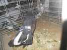 DSCN0982