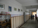 noiembrie 2010 016