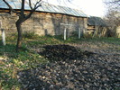 noiembrie 2010 002