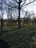 noiembrie 2010 003