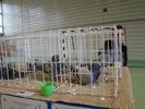 DSC09920