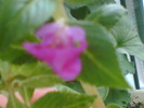 Imag004