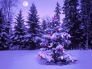 Christmas (36)