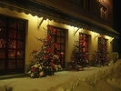 Christmas (69)