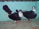 DSC01664