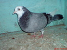 DSC01666