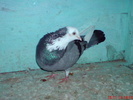 DSC01665