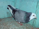DSC01667