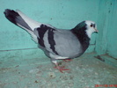 DSC01668