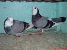 DSC01672