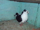 DSC01683