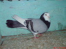 DSC01691