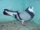 DSC01695