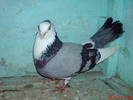 DSC01698
