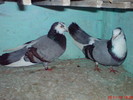 DSC01700
