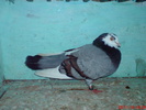 DSC01701