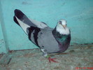 DSC01710