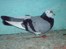 DSC01711