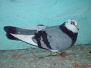 DSC01712