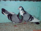 DSC01715