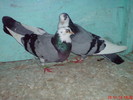 DSC01716