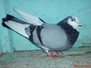 DSC01718
