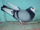DSC01719
