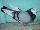 DSC01720