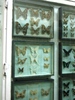 crizanteme 2010 016