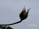 100_4084