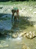 iulie 2009 137