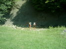 iulie 2009 138