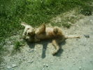 iulie 2009 147