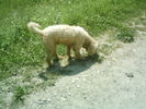 iulie 2009 148