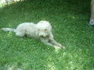 myky