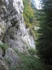 IMG_9940
