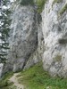 IMG_9956