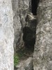 IMG_9958
