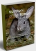 Nutrition of the rabbit