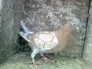 Photo0172