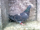 Photo0176