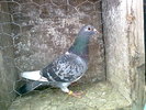 Photo0181