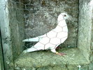 Photo0199